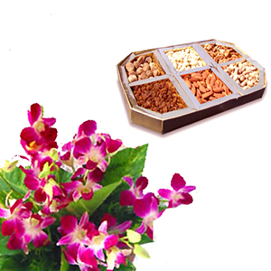 250 gm Dry fruits and 6 orchids